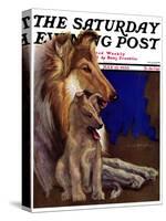 "Mother Collie and Pup," Saturday Evening Post Cover, July 15, 1933-Howard Van Dyck-Stretched Canvas