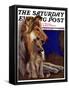 "Mother Collie and Pup," Saturday Evening Post Cover, July 15, 1933-Howard Van Dyck-Framed Stretched Canvas