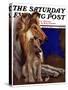 "Mother Collie and Pup," Saturday Evening Post Cover, July 15, 1933-Howard Van Dyck-Stretched Canvas