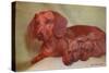Mother Dachshund and Two Pups-null-Stretched Canvas