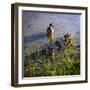 Mother Duck and Family I-Alan Hausenflock-Framed Premium Photographic Print