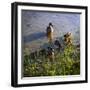 Mother Duck and Family I-Alan Hausenflock-Framed Premium Photographic Print