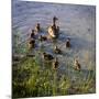 Mother Duck and Family II-Alan Hausenflock-Mounted Photographic Print