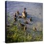 Mother Duck and Family II-Alan Hausenflock-Stretched Canvas