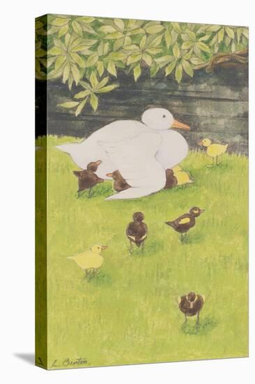 Mother Duck with Ducklings-Linda Benton-Stretched Canvas
