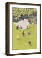 Mother Duck with Ducklings-Linda Benton-Framed Giclee Print