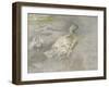 Mother Duck-Sir George Pirie-Framed Giclee Print