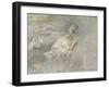 Mother Duck-Sir George Pirie-Framed Giclee Print