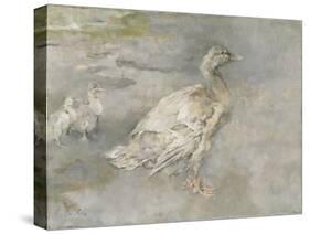 Mother Duck-Sir George Pirie-Stretched Canvas