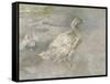 Mother Duck-Sir George Pirie-Framed Stretched Canvas