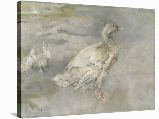 Mother Duck-Sir George Pirie-Stretched Canvas
