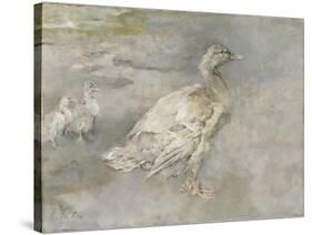 Mother Duck-Sir George Pirie-Stretched Canvas