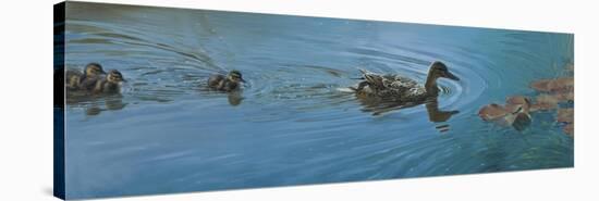 Mother Duck-Michael Jackson-Stretched Canvas