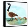 Mother Goose-Judy Mastrangelo-Framed Stretched Canvas