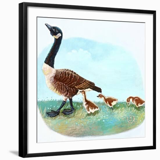 Mother Goose-Judy Mastrangelo-Framed Giclee Print