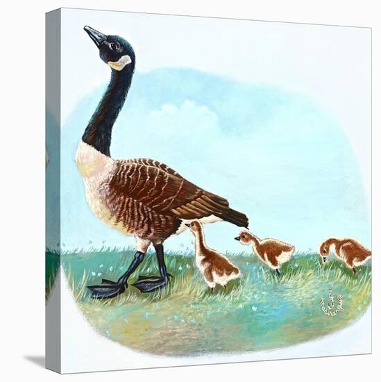 Mother Goose-Judy Mastrangelo-Stretched Canvas