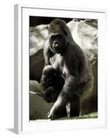 Mother Gorilla Julia-null-Framed Photographic Print