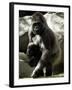 Mother Gorilla Julia-null-Framed Photographic Print