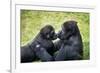 Mother Gorilla Kissing Her Baby-luckybusiness-Framed Photographic Print