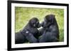 Mother Gorilla Kissing Her Baby-luckybusiness-Framed Photographic Print