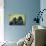Mother Gorilla Kissing Her Baby-luckybusiness-Photographic Print displayed on a wall