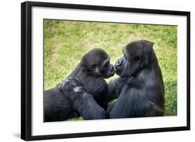 Mother Gorilla Kissing Her Baby-luckybusiness-Framed Photographic Print