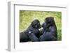 Mother Gorilla Kissing Her Baby-luckybusiness-Framed Photographic Print