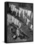 Mother Hanging Laundry Outdoors During Washday-Alfred Eisenstaedt-Framed Stretched Canvas