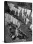 Mother Hanging Laundry Outdoors During Washday-Alfred Eisenstaedt-Stretched Canvas