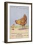 Mother Hen Scolding Chick About Rationed Eggs-null-Framed Giclee Print