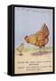 Mother Hen Scolding Chick About Rationed Eggs-null-Framed Stretched Canvas