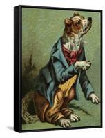 Mother Hubbard, Dressed-Harrison Weir-Framed Stretched Canvas