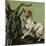 Mother Hubbard, Goat-Harrison Weir-Mounted Premium Giclee Print