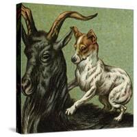 Mother Hubbard, Goat-Harrison Weir-Stretched Canvas