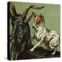 Mother Hubbard, Goat-Harrison Weir-Stretched Canvas
