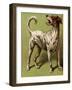 Mother Hubbard, Laughing-Harrison Weir-Framed Art Print