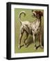 Mother Hubbard, Laughing-Harrison Weir-Framed Art Print