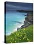 Mother Ivey's Bay, Padstow, Cornwall, England, United Kingdom, Europe-Jeremy Lightfoot-Stretched Canvas
