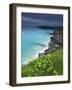 Mother Ivey's Bay, Padstow, Cornwall, England, United Kingdom, Europe-Jeremy Lightfoot-Framed Photographic Print