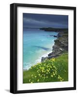 Mother Ivey's Bay, Padstow, Cornwall, England, United Kingdom, Europe-Jeremy Lightfoot-Framed Photographic Print