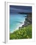 Mother Ivey's Bay, Padstow, Cornwall, England, United Kingdom, Europe-Jeremy Lightfoot-Framed Photographic Print