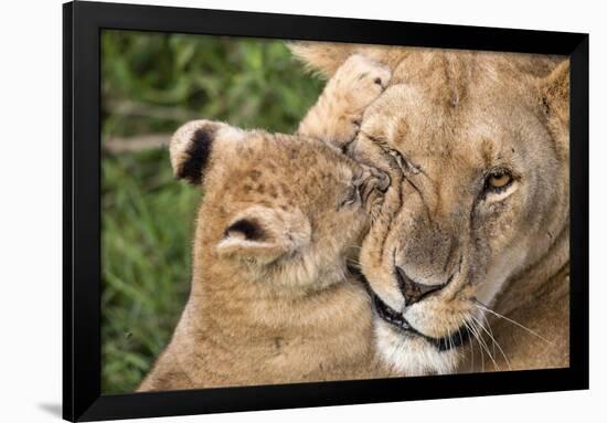 Mother Love-Alessandro Catta-Framed Giclee Print