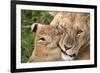 Mother Love-Alessandro Catta-Framed Giclee Print