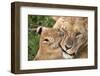 Mother Love-Alessandro Catta-Framed Photographic Print