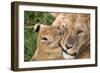 Mother Love-Alessandro Catta-Framed Photographic Print