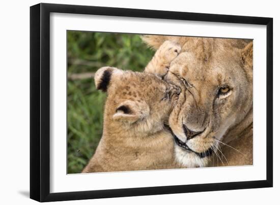 Mother Love-Alessandro Catta-Framed Photographic Print