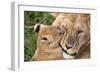 Mother Love-Alessandro Catta-Framed Photographic Print