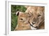 Mother Love-Alessandro Catta-Framed Photographic Print