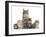 Mother Maine Coon Cat, Serafin, and Five Kittens, 7 Weeks-Mark Taylor-Framed Photographic Print