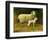 Mother of Twins-Jerry Cable-Framed Giclee Print